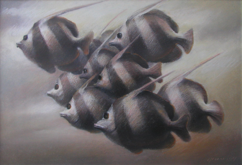 20 / 52